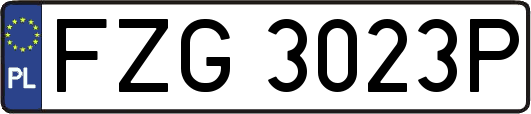 FZG3023P