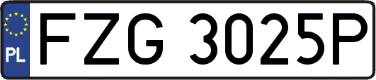 FZG3025P