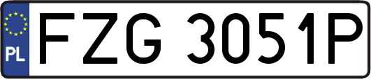 FZG3051P