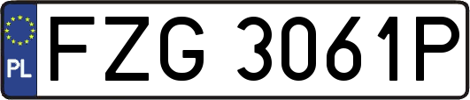 FZG3061P