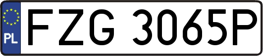 FZG3065P