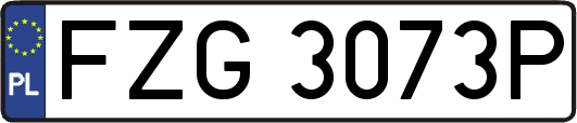 FZG3073P