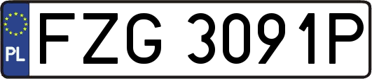 FZG3091P