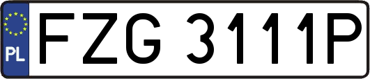 FZG3111P