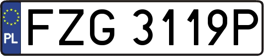 FZG3119P