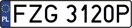 FZG3120P
