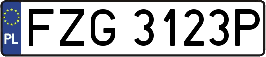 FZG3123P