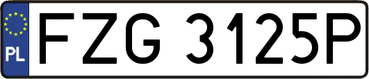 FZG3125P