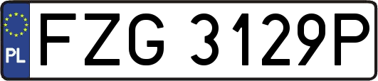 FZG3129P
