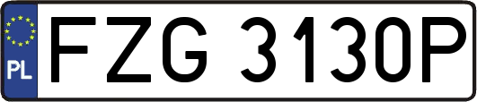 FZG3130P
