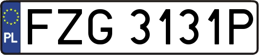 FZG3131P