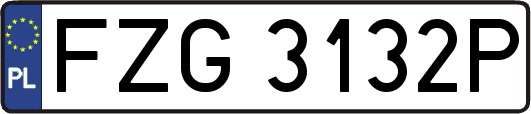 FZG3132P