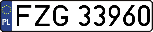 FZG33960