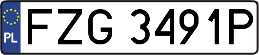 FZG3491P