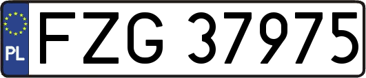 FZG37975