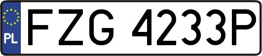 FZG4233P