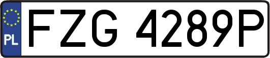 FZG4289P