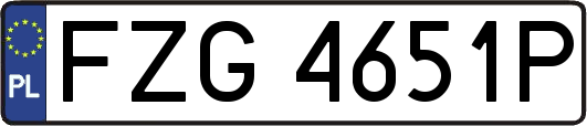 FZG4651P