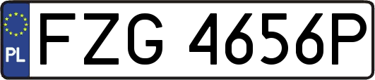 FZG4656P