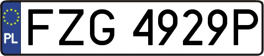 FZG4929P