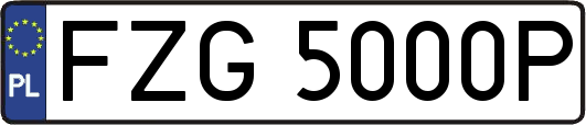 FZG5000P