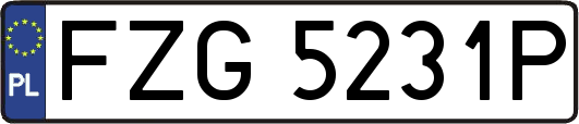 FZG5231P