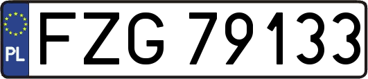 FZG79133