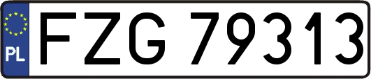 FZG79313