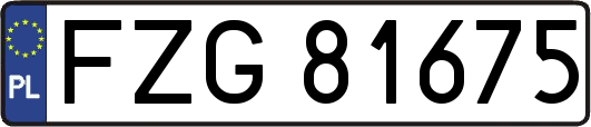 FZG81675