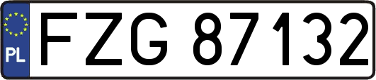 FZG87132