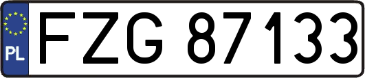FZG87133