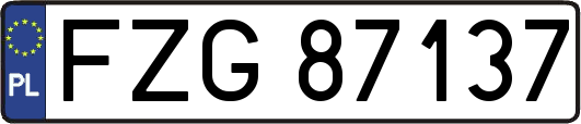 FZG87137