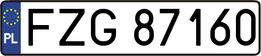 FZG87160