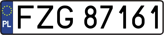 FZG87161