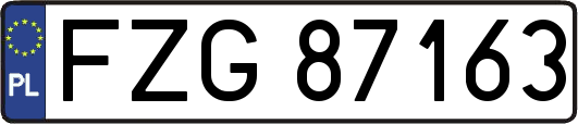 FZG87163
