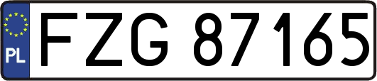 FZG87165