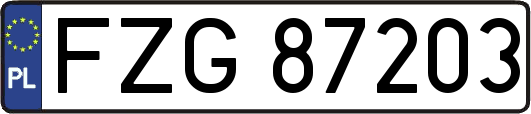 FZG87203