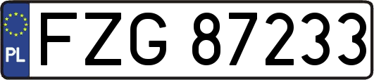 FZG87233
