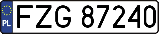 FZG87240