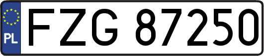 FZG87250