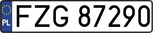 FZG87290