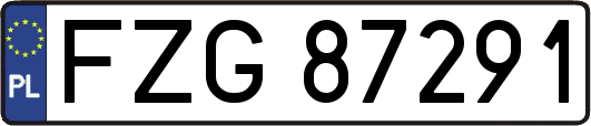 FZG87291