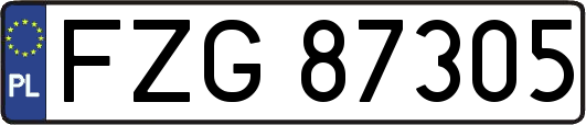 FZG87305