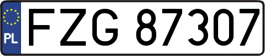 FZG87307