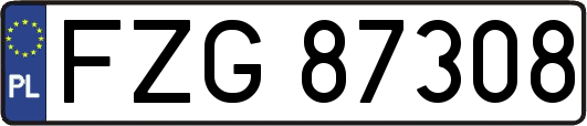 FZG87308