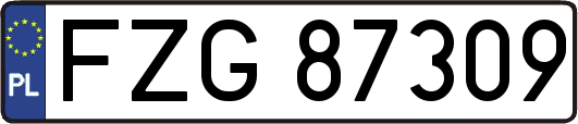 FZG87309