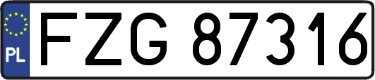 FZG87316