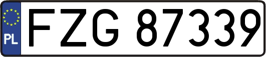 FZG87339