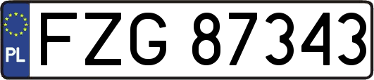 FZG87343