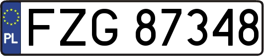 FZG87348